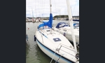 Sunwind 311-kuva-13